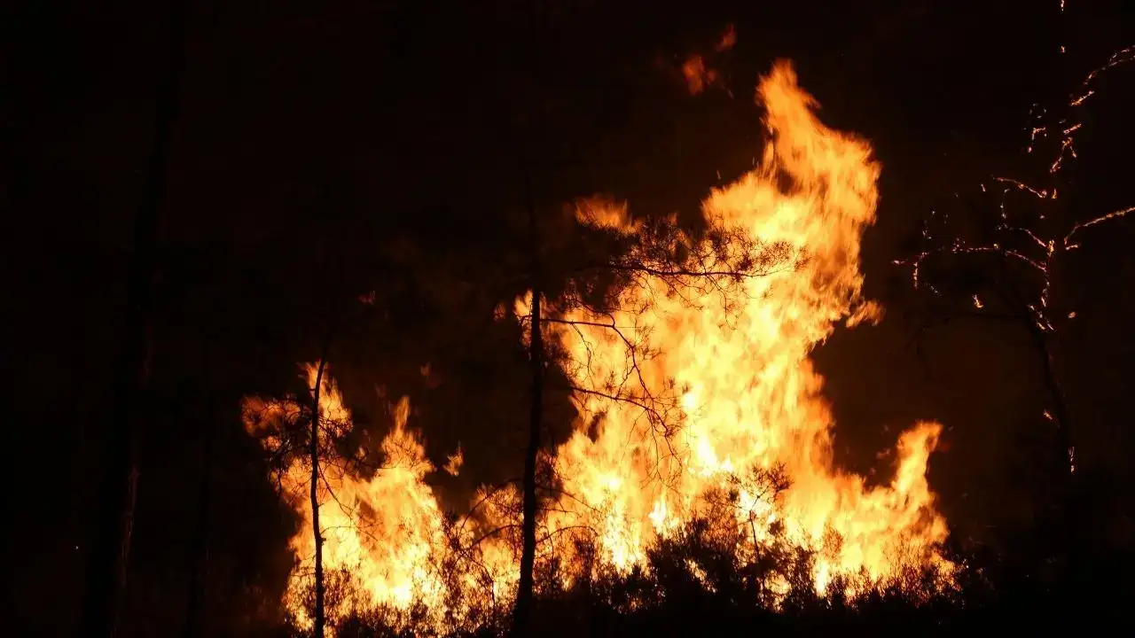 Türkiye’de 6 Bin 800 Orman Yangını, Antalya’da 13 Nokta! 1